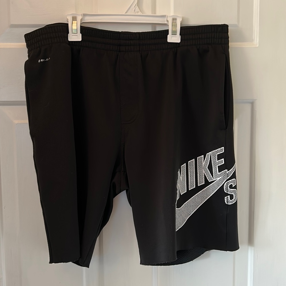 Nike SB athletic shorts